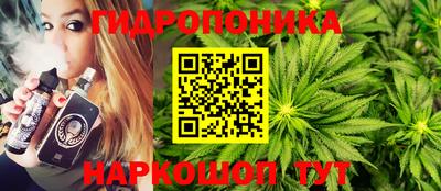 прущие крисы Шадринск