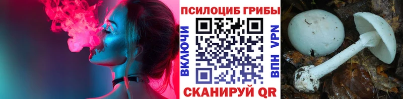 Псилоцибиновые грибы Cubensis МЕГА ССЫЛКА Железноводск купить