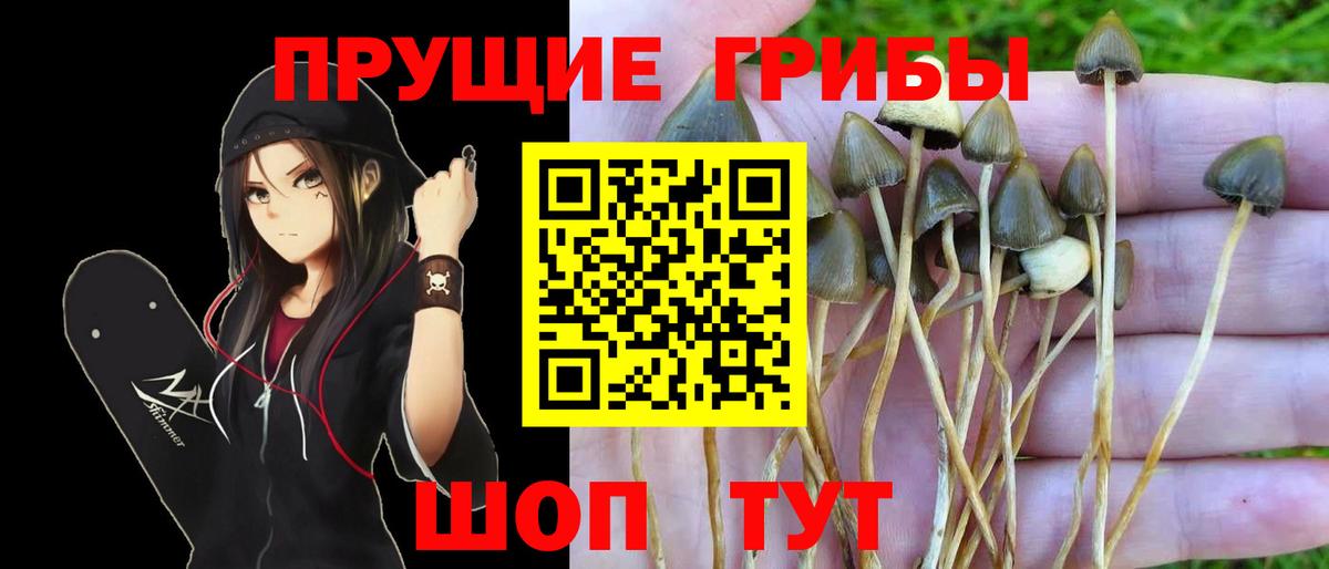 Галлюциногенные грибы ЛСД Железноводск